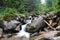 Small waterfall with gray rocks. Green tree background in forest, with nice colors flora and plants.