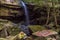 Small waterfall and heart maple leaves in deep forest.