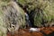 Small waterfall on hillside stream