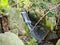Small waterfall in a Japanese forest 2