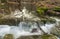 A small waterfall on the Kamchia River