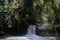 A small waterfall with a lot of overhaning plants in tropical rainforest