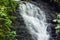 Small waterfall in monteverde cloud forest reserve