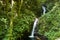 Small waterfall in monteverde cloud forest reserve