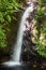 Small waterfall in monteverde cloud forest reserve