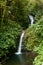 Small waterfall in monteverde cloud forest reserve