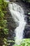 Small waterfall in monteverde cloud forest reserve