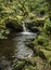 Small waterfall in Padley Gorge in Derbyshire, England