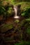Small waterfall on pendle hill, Lancashire. Smooth flowing water amongst fern leaves