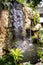 Small waterfall and pond with a koi carps fish