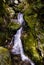 Small waterfall in primeval forest