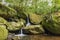 Small waterfall among the rainforest vegetation of Ilhabela