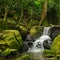 Small waterfall, river running through the jungle. Thickets, moss on the rocks