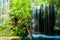 Small waterfall in shady garden