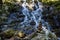 Small Waterfall In Springbrook National park