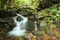 Small waterfall and stone in the deep forest. Beautiful view of waterfall landscape. Zakarpattya, Ukraine