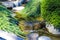 A small waterfall surrounded by lush green plants at Huntington Library and Botanical Gardens