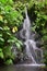 A small waterfall, surrounded by plants. Long exposure