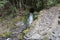 Small waterfall in Te Urewera National Park, New Zealand