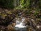 A small waterfall in a temperate deciduous forest. A source of pure mountain water.