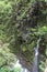 A small waterfall trickling down a cliffside covered in lush vegetation on the road to Hana in Maui