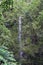 A small waterfall trickling down a cliffside covered in lush vegetation on the road to Hana in Maui, Hawaii