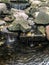 Small waterfall trickling down rocks into pond