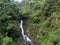 Small Waterfall in the Tropical Rainforest Mountains