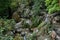 Small waterfall under the famous neer garh Waterfall, Rishikesh, Uttarakhand India