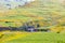 Small waterfall and wildflowers in the hills of Ethiopia