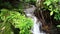 Small waterfalls beautiful Nature video nature waterfall in rainforest trees Abundant forest amazing nature background