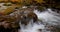 Small waterfalls at Big cottonwood creek in Utah