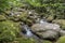 Small waterfalls among green mossy rocks