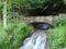 Small Waterfalls at Letchworth State