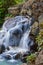 Small waterfalls and rivers in the jungle. Trees, rivers and small waterfalls of the rainforest - Hawaii, USA.