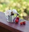 Small watering can with strawberry and small roses