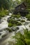 Small watermill in a green forest with a white stream of water.