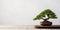 A small, well-groomed bonsai tree on a minimalist wooden table, concept of Nurturing Nature, created with Generative AI