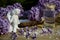 Small white buddha sculpture resting