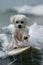 A small white Canidae riding a surfboard on liquid water in the ocean