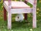 Small white cat playing under bench