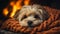 Small, white-furred dog draped in a cozy blanket near a fireplace, AI-generated.