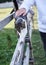 Small white and grey cat walking on the fence. Close-up picture of person`s hand, petting kitten. People communicating with