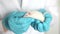 A small white mouse with red eyes in the hand of a scientist in a blue rubber glove.