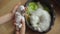 Small white newborn Maltese puppy sleeps in the arms of a mother dog feeding puppies in the background