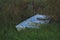 Small white rowboat forgotten in the grass