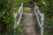 Small White Timber Bridge