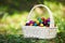 A small wicker hand basket full of magic multicolor cherry