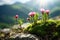 Small wild mountain flowers close up