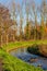 Small winding stream with a calm flow between stones among green grass and bare trees